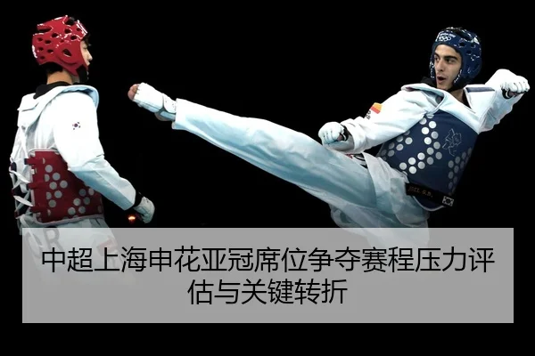 中超上海申花亚冠席位争夺赛程压力评估与关键转折